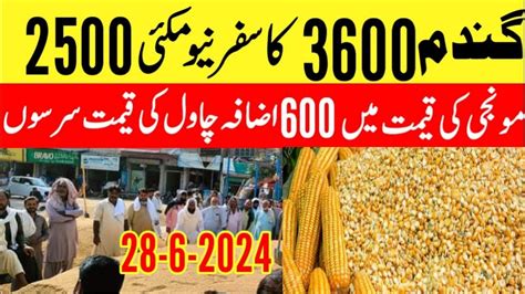 New Gandam Rate Today Wheat Price Today In Punjab Makki Ka Rate