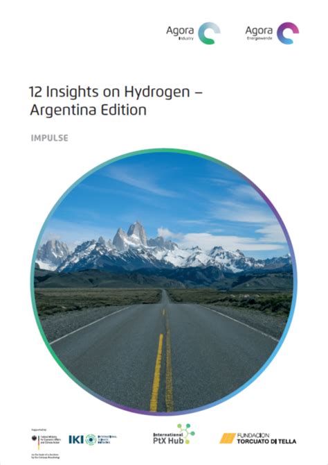 Insights On Green Hydrogen And Ptx In Argentina Ptx Hub