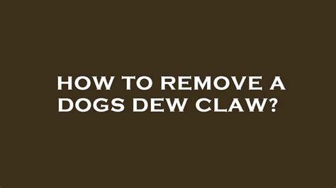 How To Remove A Dogs Dew Claw Youtube