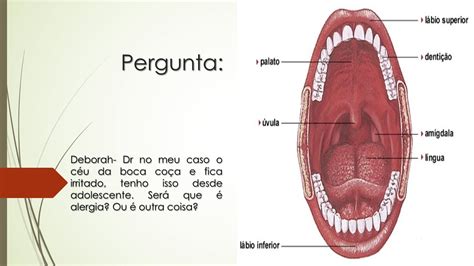 Meu C U Da Boca Co A E Fica Irritado Tenho Isso Desde Adolescente