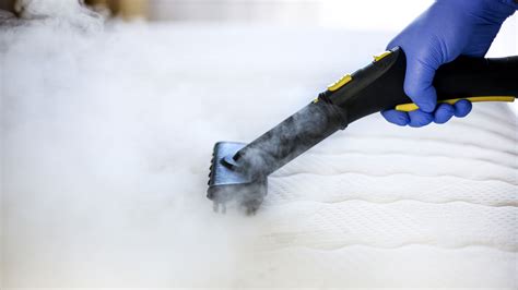 No Exterminator Needed Ways To Get Rid Of Bed Bugs