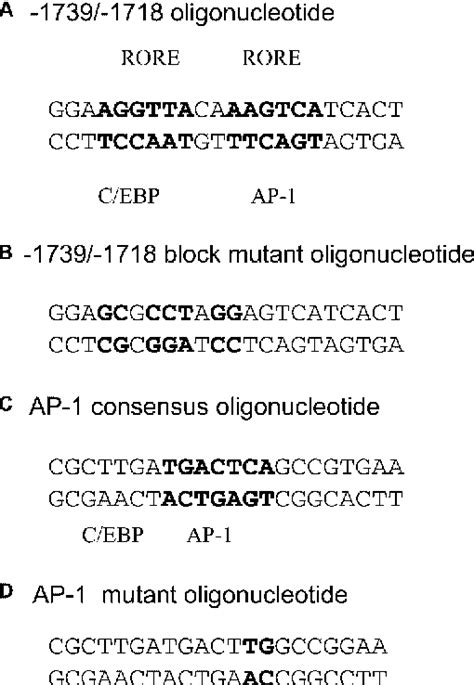 Figure From Repression Of Gonadotropin Releasing Hormone Gnrh Gene