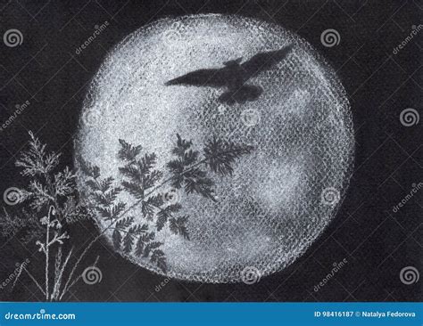 Owl and Fool Moon. Silhouette Stock Illustration - Illustration of background, objects: 98416187