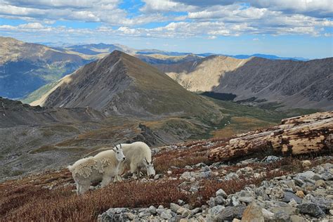 One Weekend In Idaho Springs Co An Adventurous Day Idaho Springs