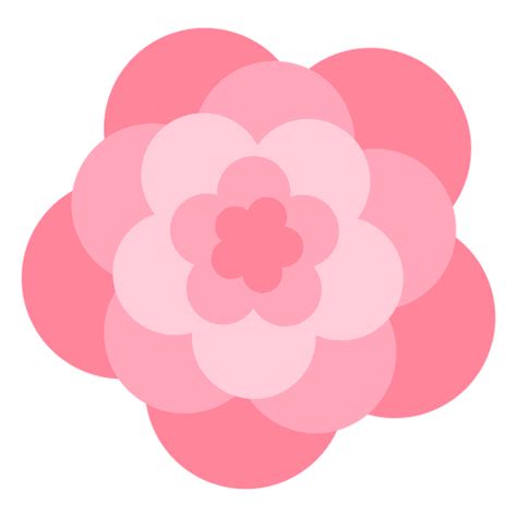 Design Png E Svg De Pétalas Grandes De Flor Rosa Achatadas Para Camisetas