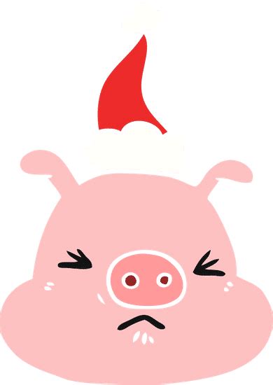 Flat Color Illustration of a Angry Pig Face Wearing Santa Hat 素材