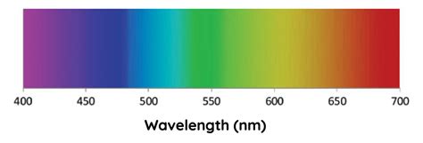 Dispersion Of Light Theory And Practical Investigation Hsc Physics Science Ready