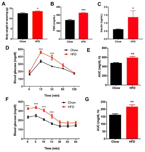 Maternal high fat diet regulates glucose metabolism and pancreatic β