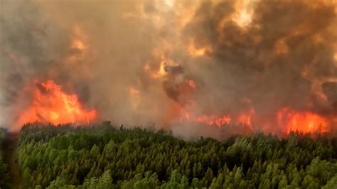 Şase milioane de hectare de pădure din Canada distruse de incendii