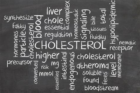 Tweak Your Cholesterol Levels With Nutrition Professional Supplement Center