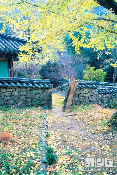 Traditional Korean-Style Houses, Korea, Stock Photo, Picture And Rights ...