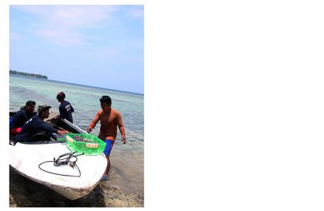 Photo Saving Coral Reefs The Jakarta Post