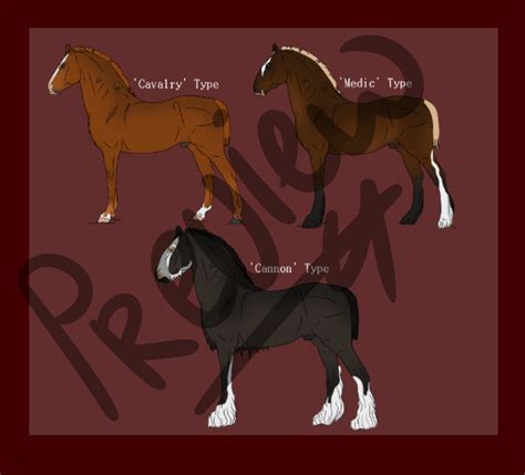 New Horse Breed Preview ||Dutch Destrier|| by WhiskyAndCigars on DeviantArt