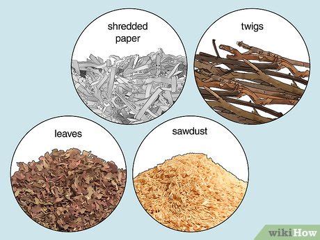 How to Recycle Biodegradable Waste: 15 Steps