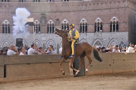 La Seconda Prova Del Palio Va Alla Tartuca Il Cittadino Online