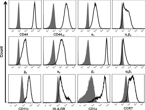 Cell Surface Phenotype Of Human Monocyte Derived DCs Flow Cytometry