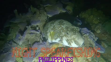 NIGHT SPEARFISHING PHILIPPINES Pag Mahina Ang Unang Dive May 2nd Dive