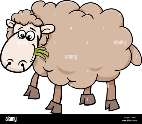 animal, sheep, wool, illustration, livestock, farm, cartoon, lamb ...