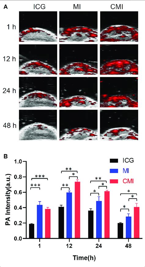 In Vivo PA Imaging Of Hela Tumor Bearing Nude Mice A PA Images Of