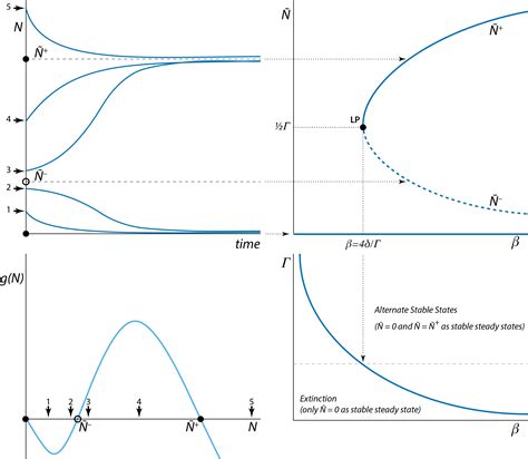 Chapter Saddle Node Bifurcation In A Two Sexes Population Growth