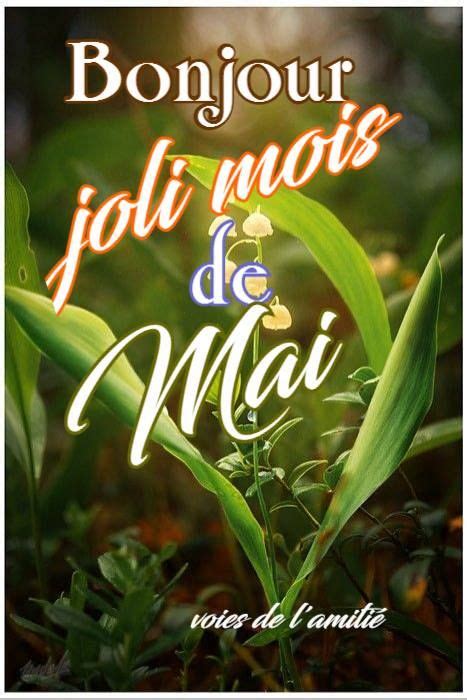 Bonjour Joli Mois De Mai Mai Mois De Mai Bonjour Bonjour Mai