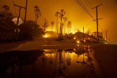 Terus Bertambah Korban Kebakaran Hutan Di California Jadi Orang