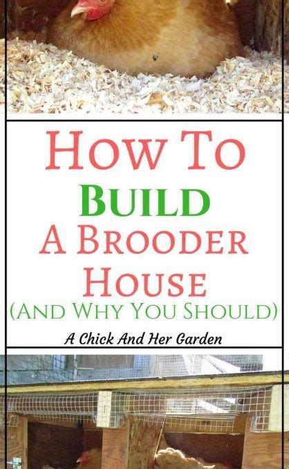 How To Build A Brooder House And Why You Need One A Chick And Her Garden