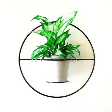 Big Circle Outdoor & Indoor Planters - Planter