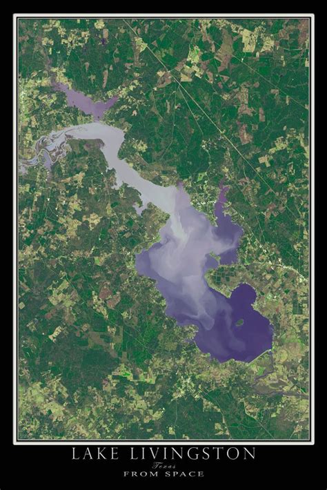 The Lake Livingston Texas Satellite Poster Map | Livingston, Lake ...