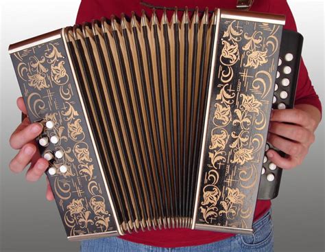 How Do I Choose The Best Beginners Accordion With Picture