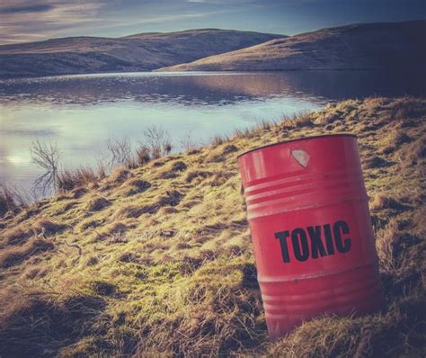 What is Toxic Waste? | Hazardous Waste Q&A From MLI