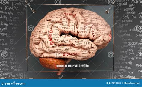 Irregular Sleep Wake Rhythm in Human Brain Stock Illustration ...