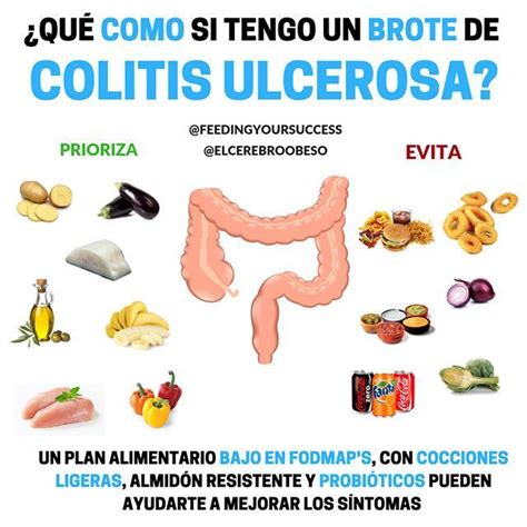 40 Most Popular Alimentos Para Colitis Ulcerosa Cronica Insectza