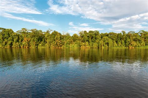 La Faune Et La Flore Du Costa Rica Am Riques Aventure