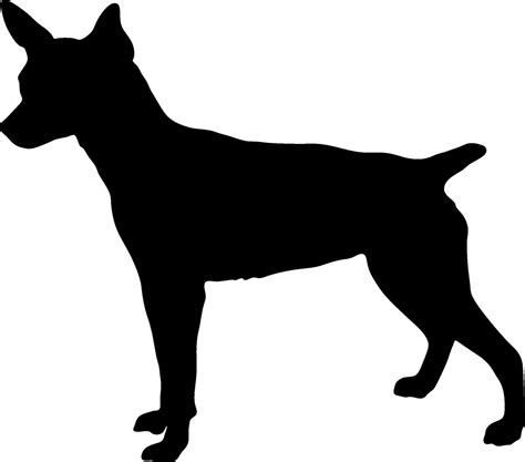 6 Rat Terrier Vinyl Silhouette Decal 595 Via Etsy Rat Terrier