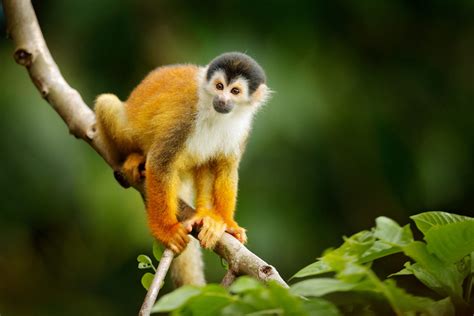Panama City Die Besten Tipps Für Euren Städtetrip