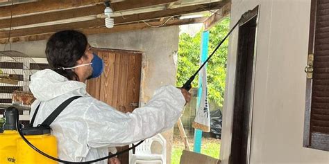 Parobé utiliza a técnica de borrifação residual intradomiciliar para