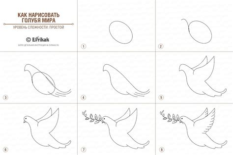 Голубь нарисованный карандашом - 74 фото