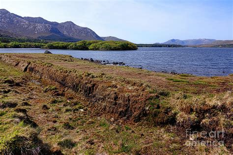 Irish Peat Bog Photograph by Olivier Le Queinec - Pixels