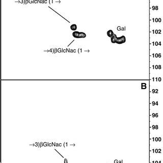 The Anomeric Region Of The 1 H 13 C HSQC Spectra Of The Intact Glycan