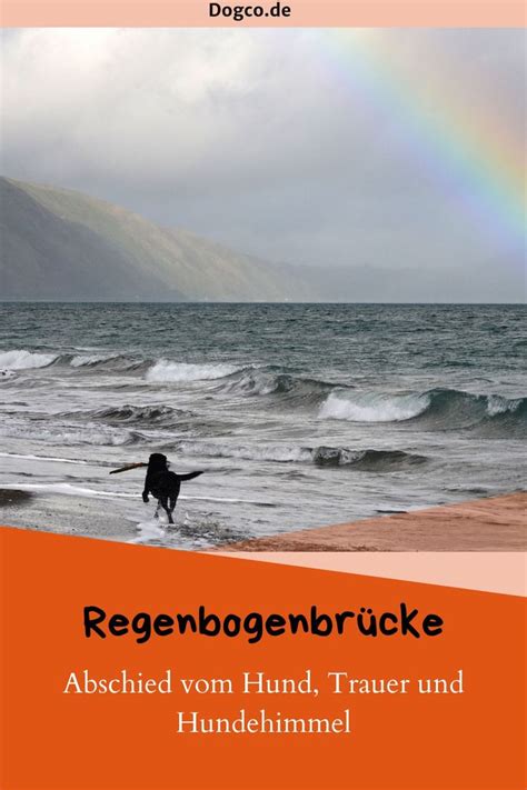 Was versteht man unter der Regenbogenbrücke Hundehimmel