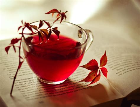 Red Tea By Silvermoonswan On Deviantart