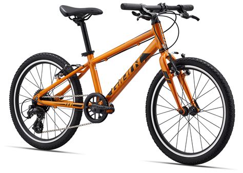 GIANT ARX 20 2023 Vélo montagne pour Enfant de 5 à 8 ans Roue 20 po