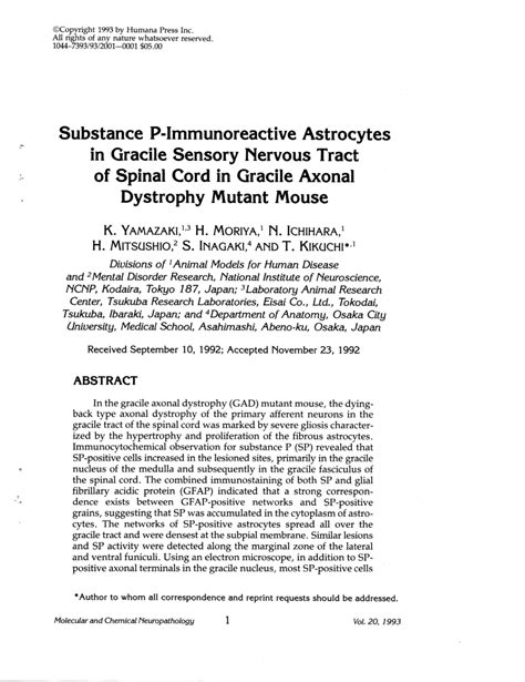 (PDF) Substance P-immunoreactive astrocytes in gracile sensory nervous tract of spinal cord in ...