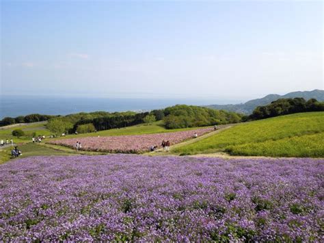 Top 10 attractions on awaji island – Artofit