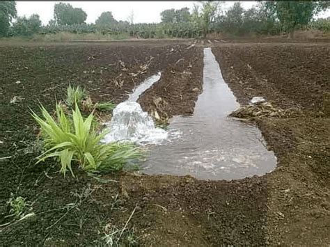 Types Methods And Challenges Of Irrigation Farming Agric4profits