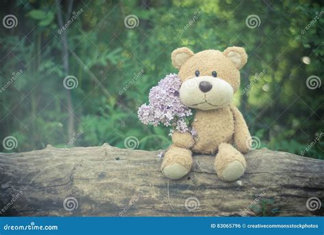 Brown Teddy Bear Holding Pink Flower Bouquet Picture Image 83065796