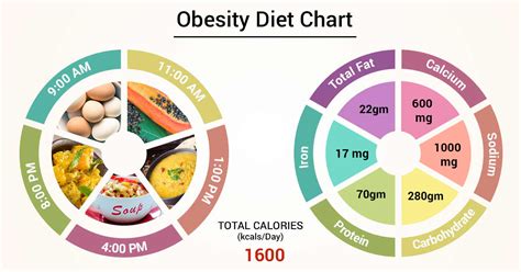 Diet Chart For Obesity Patient, Obesity Diet chart | Lybrate.