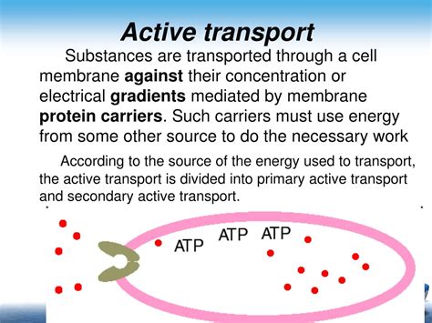 Ppt Chapter 2 Basic Function Of The Cell Powerpoint Presentation Free Download Id 446465