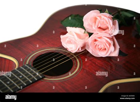 Red Roses Acoustic Guitar Fotografías E Imágenes De Alta Resolución Alamy